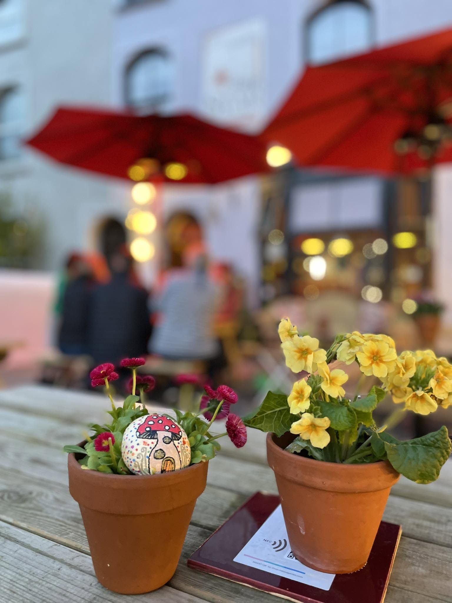 Life at The Star Inn, Narberth — photograph 16